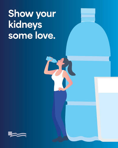 How Hydration Protects Your Kidneys and Blood Pressure
